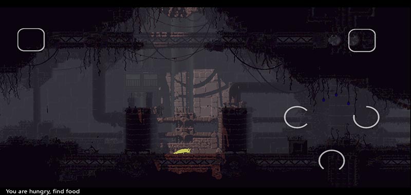 Rain World