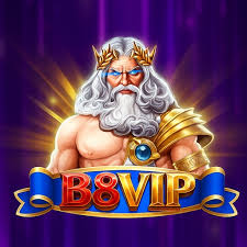 B8vip