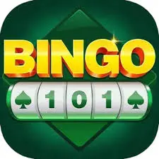 Bingo 101