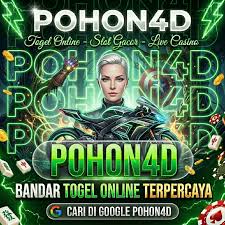 Pohon4D